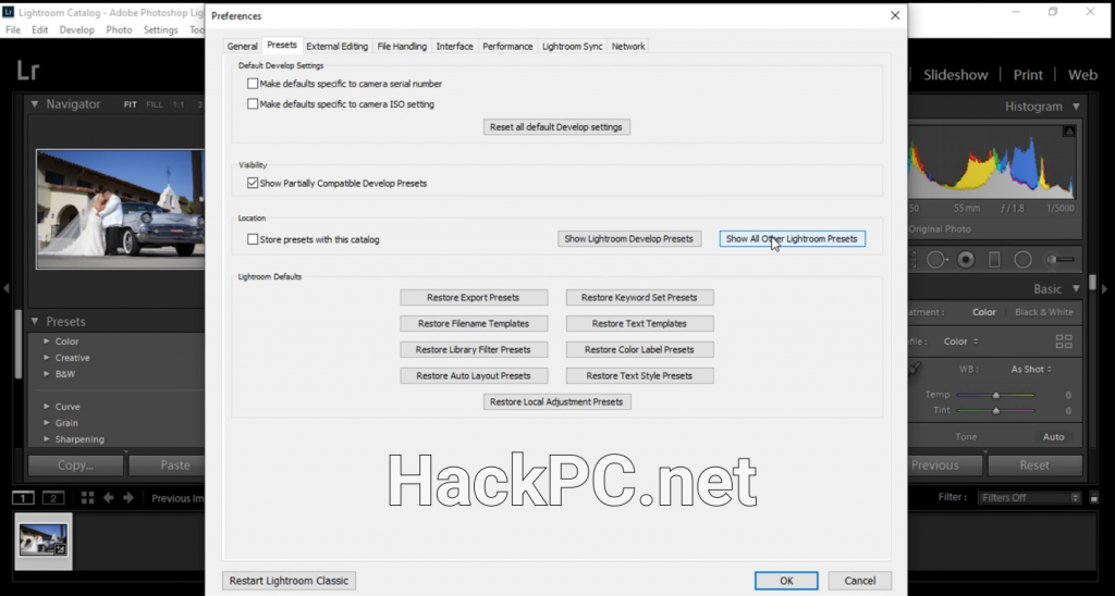 Adobe Lightroom 2025 Other Presets