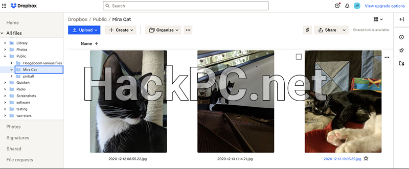 Dropbox's web interface with a list of folders at the left and images being shown at medium size in the center