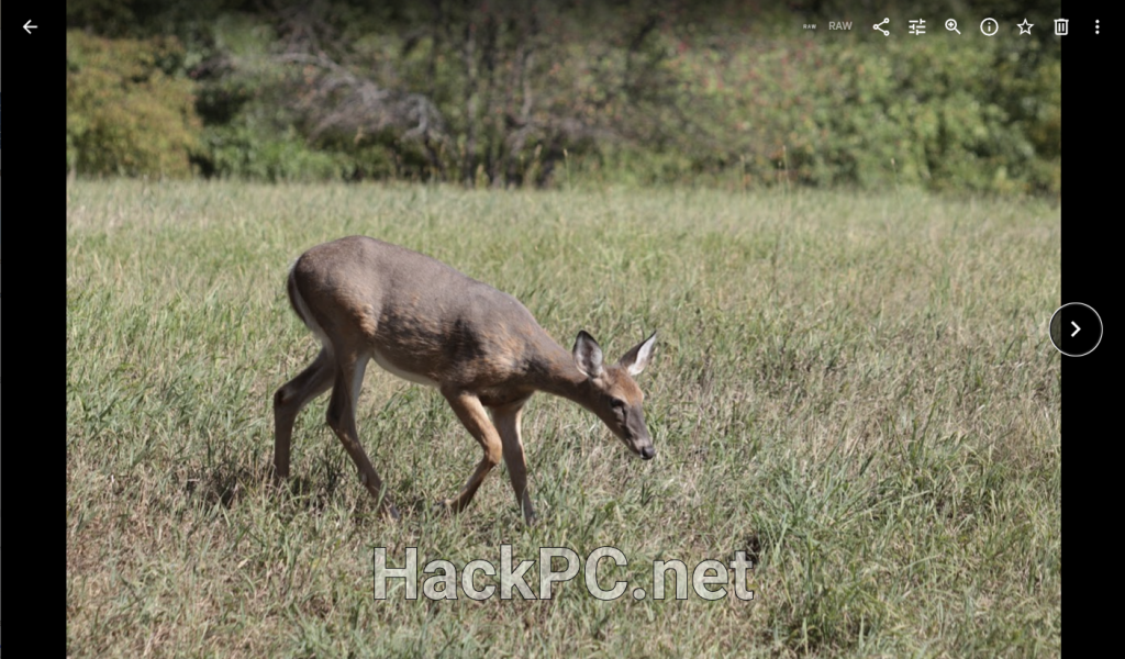 Photo view in Google Photos