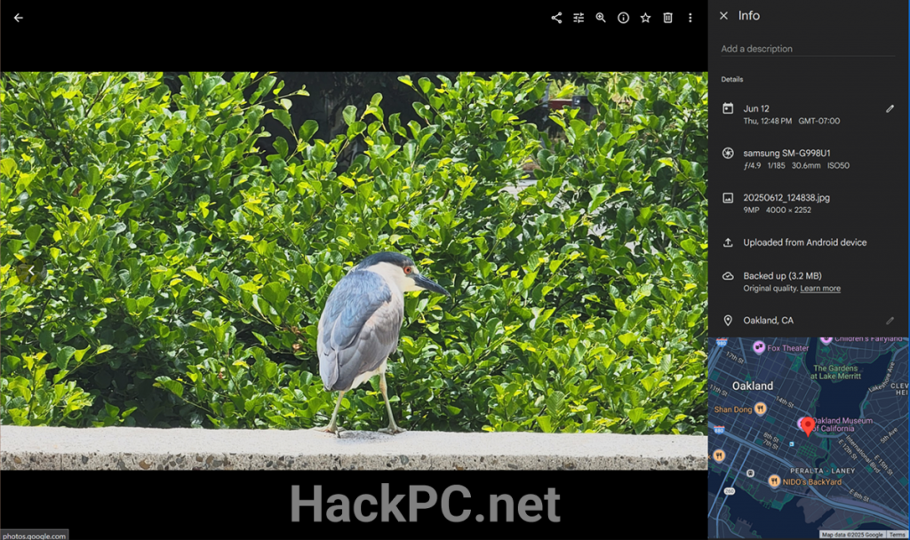 Info panel view in Google Photos