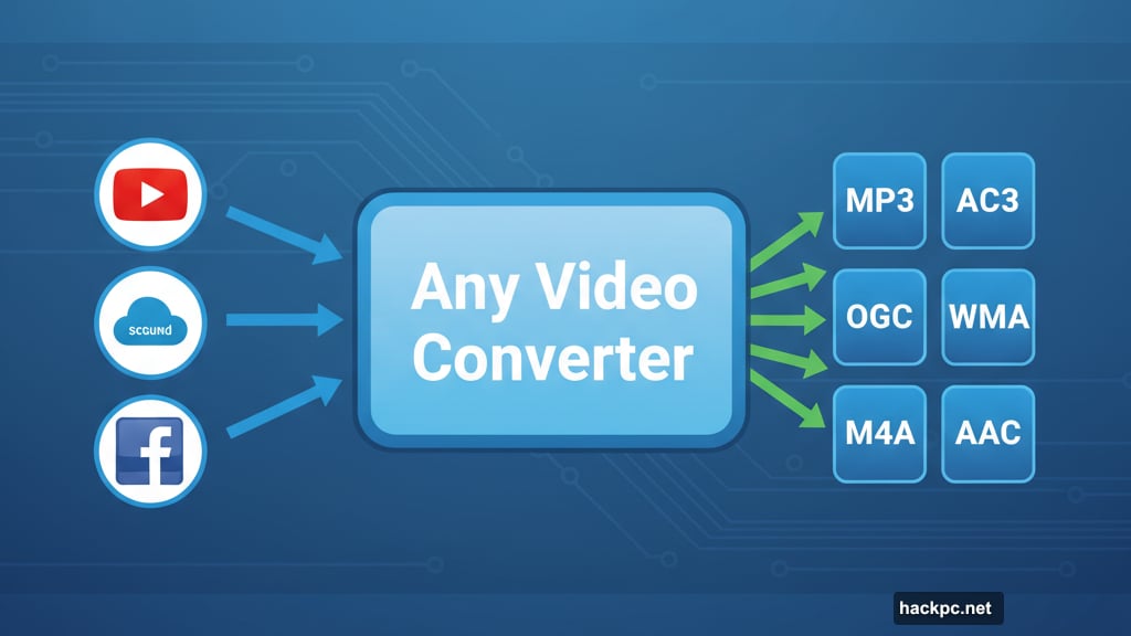 Any Video Converter grabs music from over 100 sites