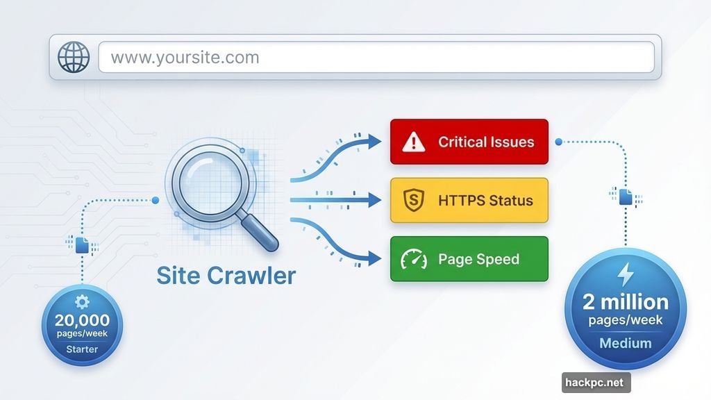 Website checker examines crawlability, HTTPS status, and page loading speed