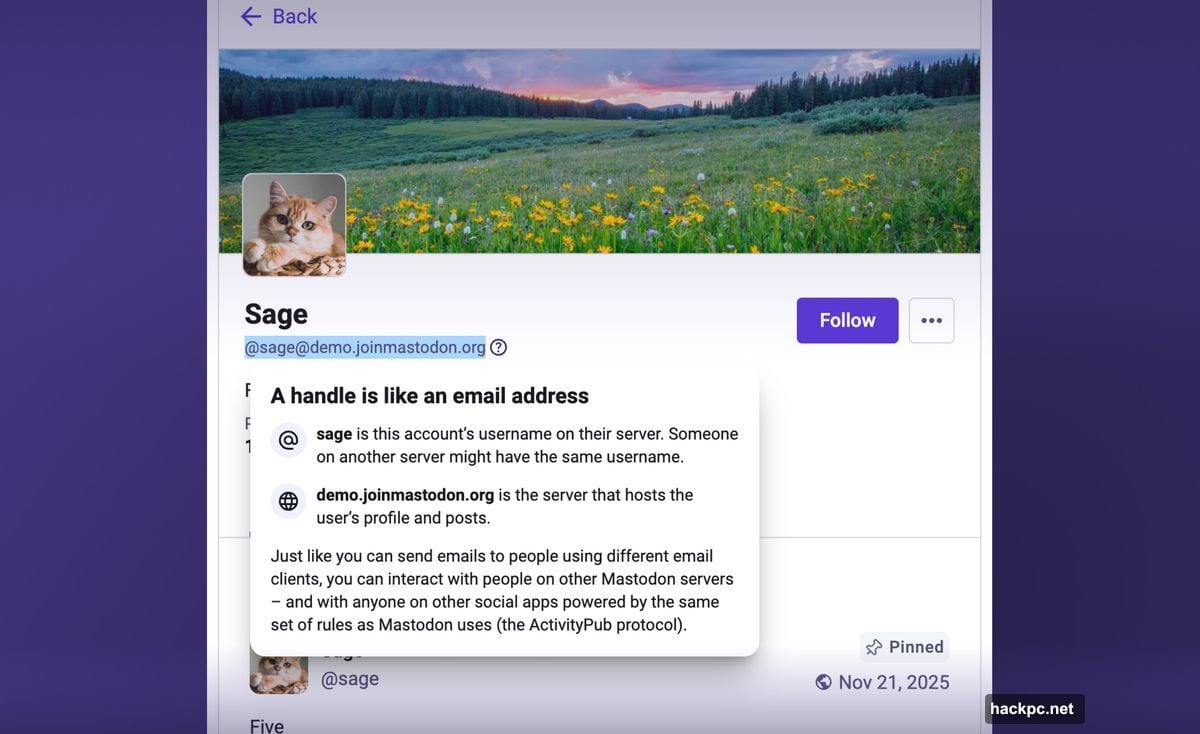 Mastodon user drop from one million drives usability roadmap improvements