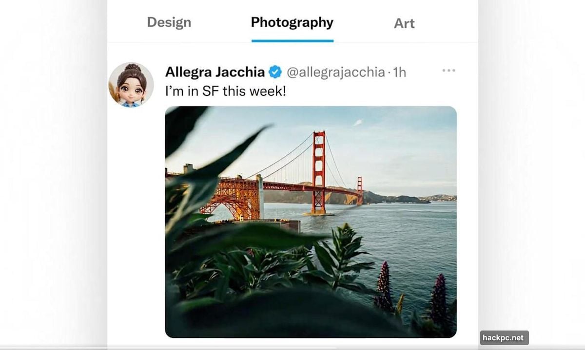 X custom timelines pin favorite topics directly to the home tab